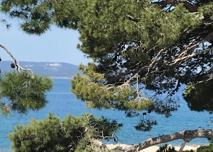 Bellamare Apartment *