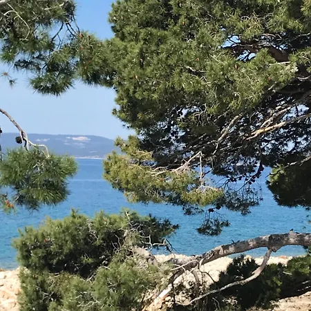 Bellamare דירה *